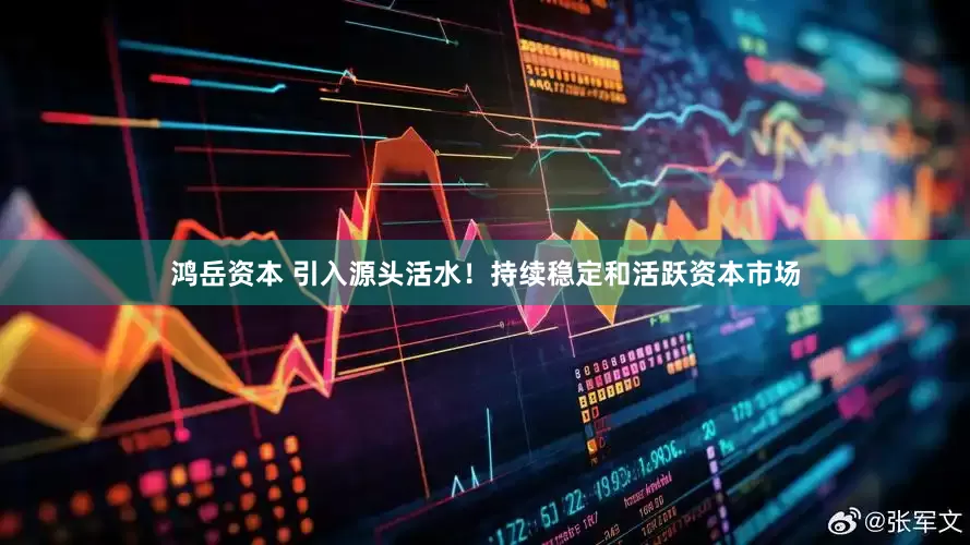 鸿岳资本 引入源头活水！持续稳定和活跃资本市场
